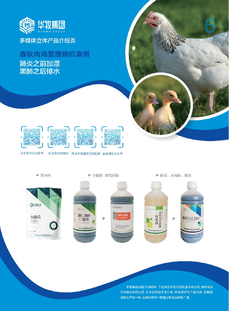 春秋肉鸡管理病例案列